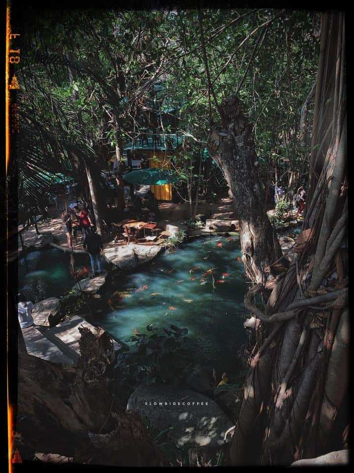 Slow Ride Coffee&Cafe สโลว์ ไรด์ คอฟฟี่ แอนด์ คาเฟ่ 5