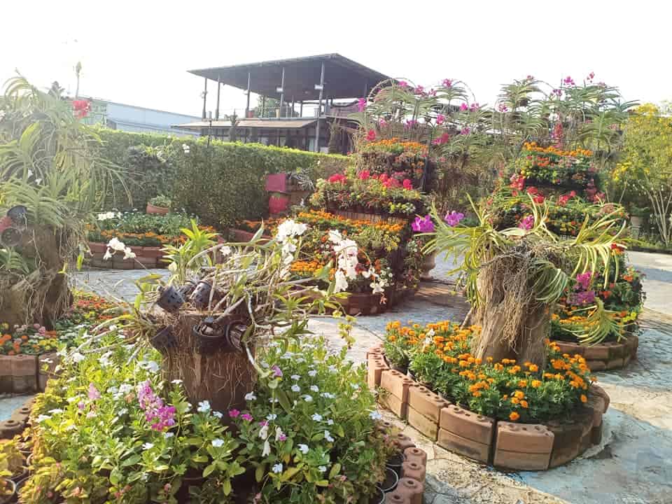 The Bloom By Tvpool Khao Yai 7