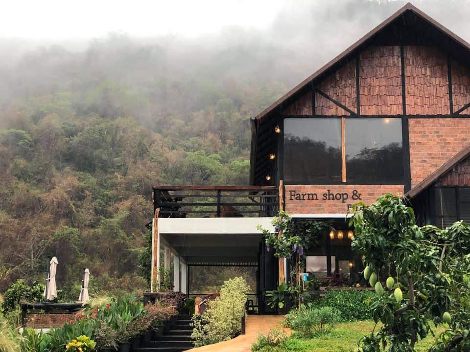 KhaoYai The Mango House Farm บ้านหมากม่วง 7