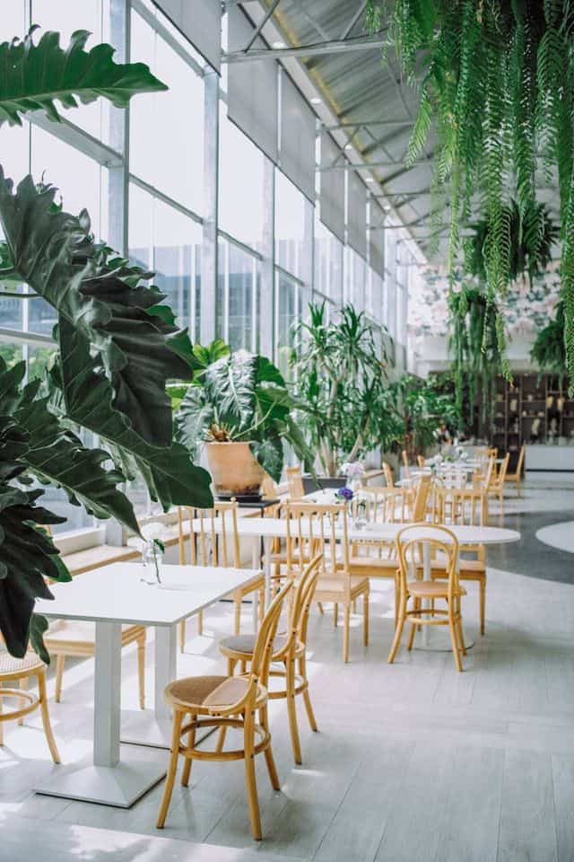 Boonta Flowers and Cafe (บางกรวย นนทบุรี) 7