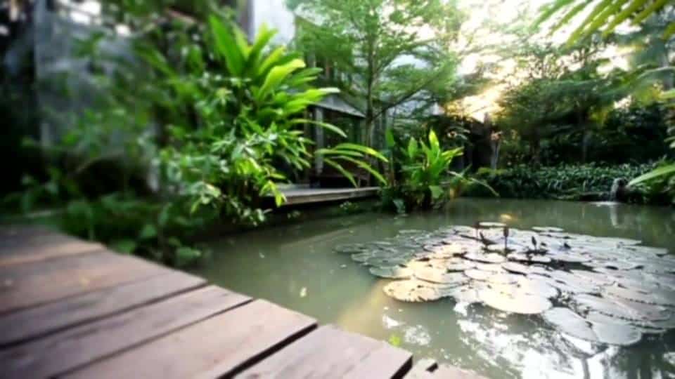 River CoCo 1