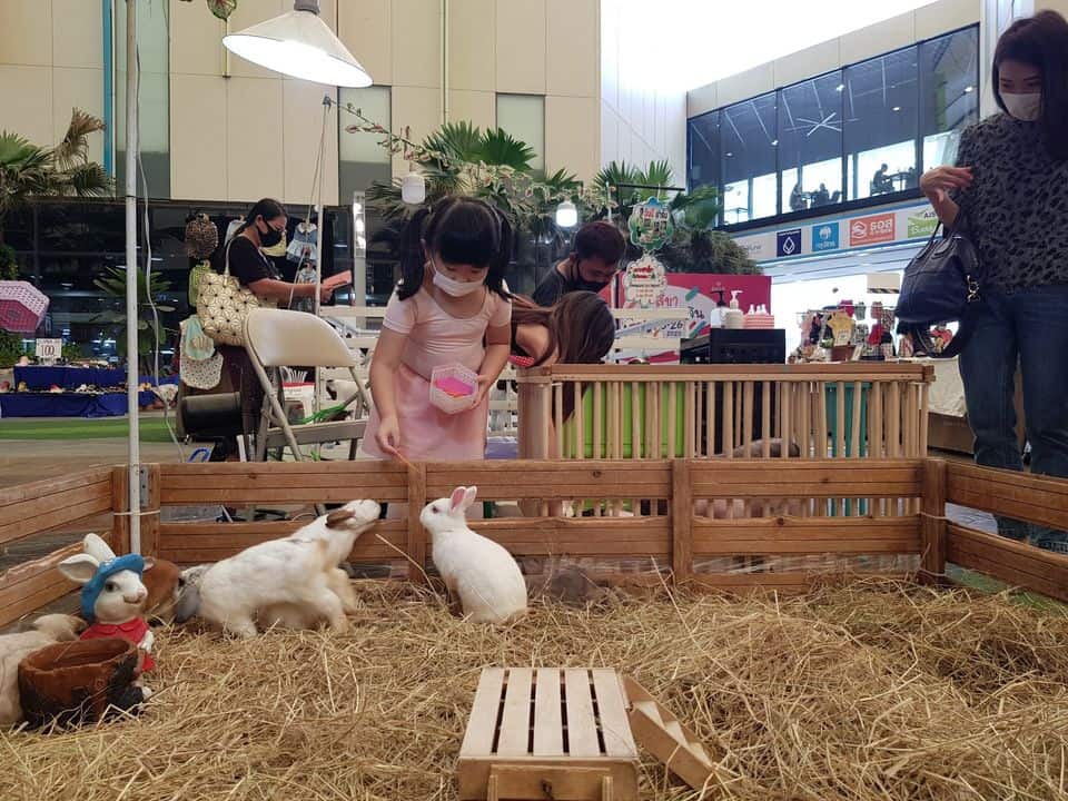เพลินนารี่ มอลล์ (Plearnary Mall) 5
