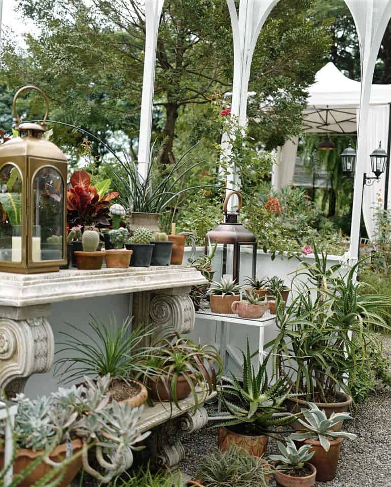 Bai Orchid Café (เชียงใหม่) 4