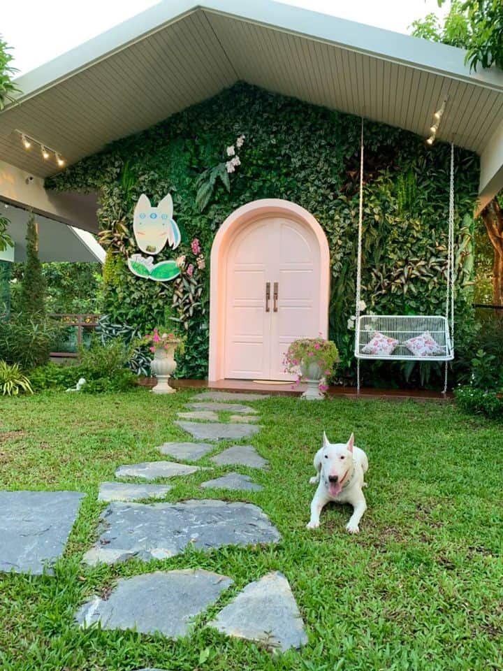 Jungle De Woof (ทวีวัฒนา) 4