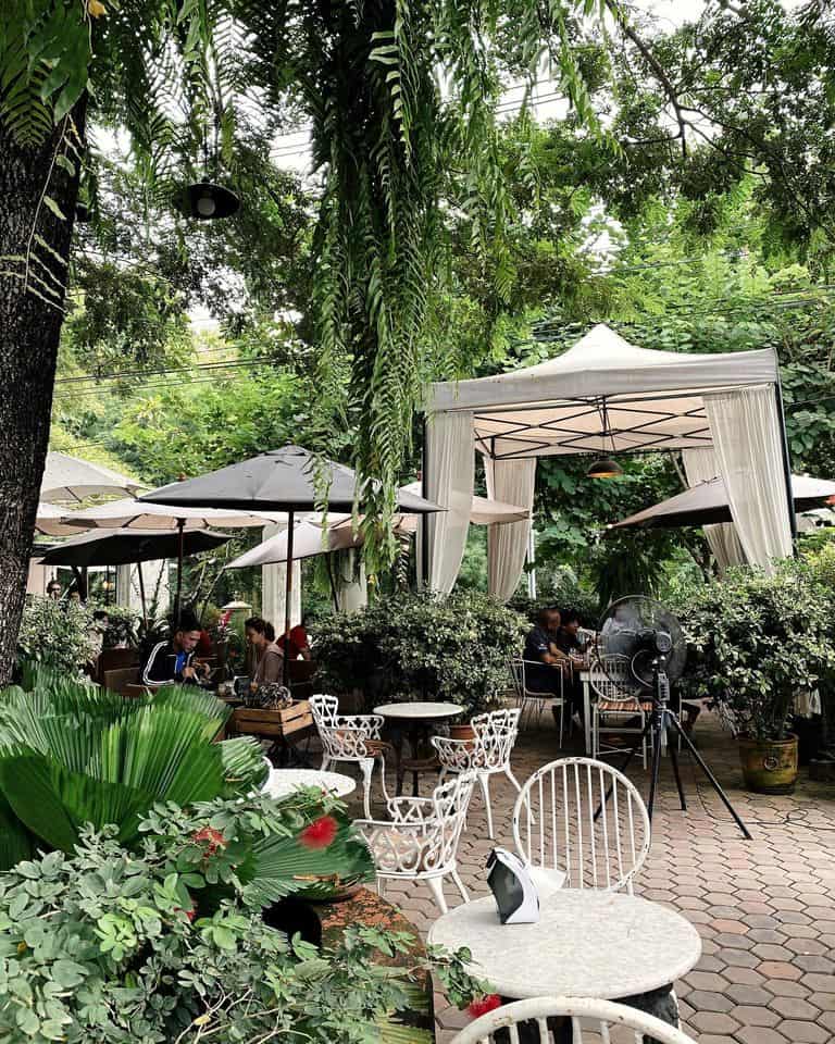 Bai Orchid Café (เชียงใหม่) 5