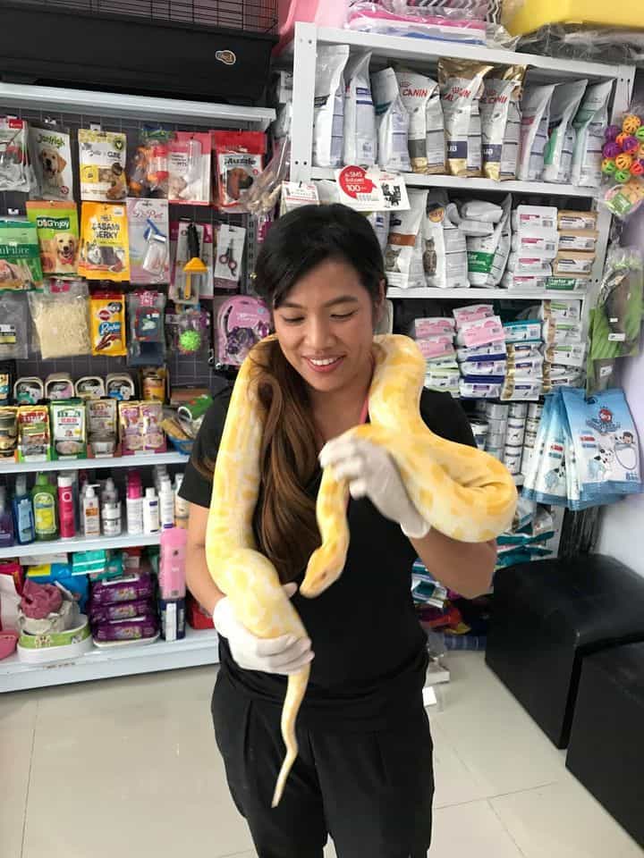 Maeluan Animal Hospital Phuket (โรงพยาบาลสัตว์แม่หลวนภูเก็ต) 2
