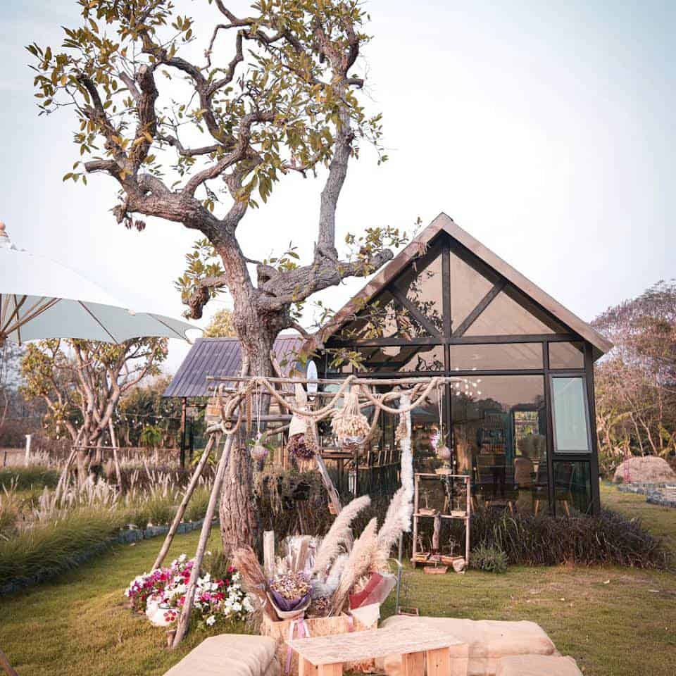 D'manita cafe (ดี-มะนี-ตะ) 1