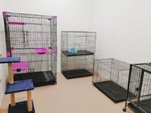 Bangkok Lasalle Animal Hospital (โรงพยาบาลสัตว์บางกอกลาซาล) 9