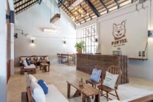 Pawtel Chiangmai (พอเทล เชียงใหม่) 7