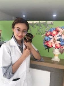 The Nine Animal Hospital (โรงพยาบาลสัตว์เดอะไนน์) 1