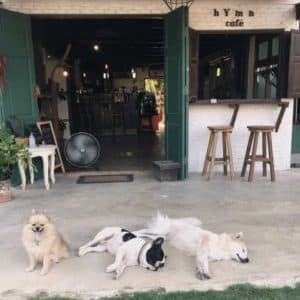 Hymn Cafe House & Music (ฮีมน์ คาเฟ่ เฮ้าส์ แอน มิวสิค) 2