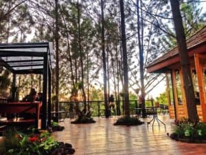 Cedar ป่าสน Cafe (เขาค้อ) 2