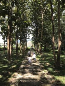 Sappraiwan Elephant House Lake View Cafe (ทรัพย์ไพรวัลย์ เอเลเฟ่น คาเฟ่) 5