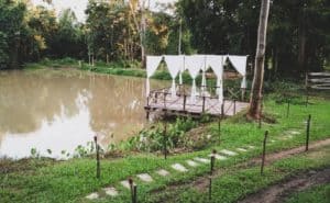 Sappraiwan Elephant House Lake View Cafe (ทรัพย์ไพรวัลย์ เอเลเฟ่น คาเฟ่) 6