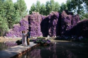 รักดอก คาเฟ่ (RakDok LaLagoon คลองสามวา) 2