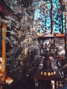 Cedar ป่าสน Cafe (เขาค้อ) 9