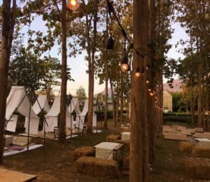 Sappraiwan Elephant Resort (ทรัพย์ไพรวัลย์ รีสอร์ท) 5