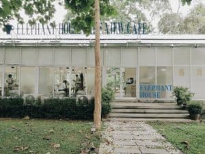 Sappraiwan Elephant House Lake View Cafe (ทรัพย์ไพรวัลย์ เอเลเฟ่น คาเฟ่) 1