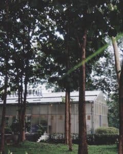 Sappraiwan Elephant House Lake View Cafe (ทรัพย์ไพรวัลย์ เอเลเฟ่น คาเฟ่) 2