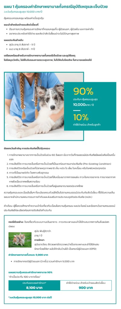 ประกันหมาแมว ประกันสัตว์เลี้ยง 2021 เปรียบเทียบทำที่ไหนดี เริ่ม ฿500 ต่อปี 18 ประกันหมาแมว ประกันสัตว์เลี้ยง 2021 เปรียบเทียบทำที่ไหนดี เริ่ม ฿500 ต่อปี 14