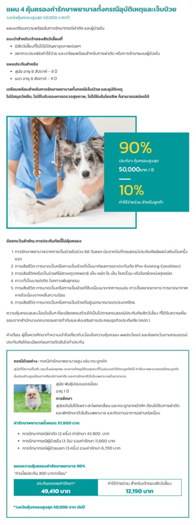 ประกันหมาแมว ประกันสัตว์เลี้ยง 2021 เปรียบเทียบทำที่ไหนดี เริ่ม ฿500 ต่อปี 21 ประกันหมาแมว ประกันสัตว์เลี้ยง 2021 เปรียบเทียบทำที่ไหนดี เริ่ม ฿500 ต่อปี 17