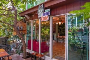 แอนิมาเลีย คาเฟ่ แอนด์ โฮมสเตย์ (Animalia cafe and Homestay) 4
