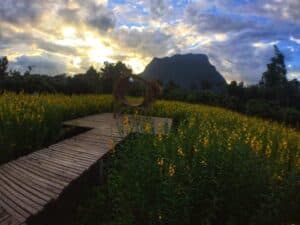สวนฉันโฮมสเตย์ เชียงดาว (Igarden homestay chiangdao) 4