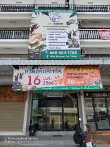 Wild Square Vet Clinic 2