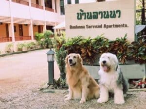 บ้านลานนา (Banlanna Serviced Apartment) 3