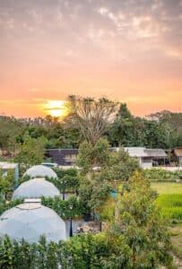ชบารีสอร์ท (Chaba Resort) 7