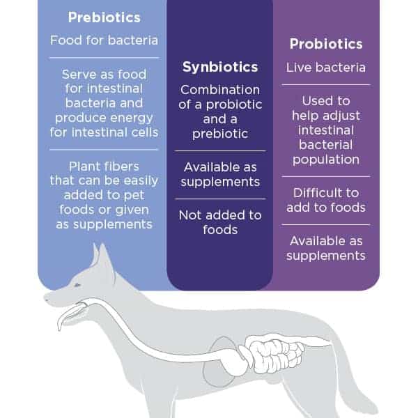 หมาท้องเสีย ไม่ต้องใช้ probiotic สุนัขเสมอไปนะ ถ่ายเหลวบ่อยเพราะอะไร ทำไงดี? 1 หมาท้องเสีย ไม่ต้องใช้ probiotic สุนัขเสมอไปนะ ถ่ายเหลวบ่อยเพราะอะไร ทำไงดี? 1
