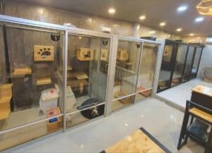 Hachi Happy Home โรงแรมแมวพิษณุโลก 1