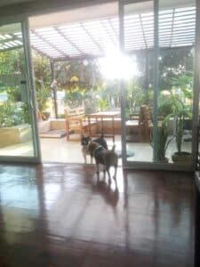 ยาหยี รีสอร์ท (Yayee House Angsila) 1