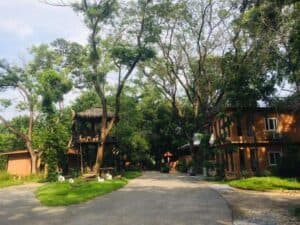 ต้นโพธิ์ รีสอร์ท (Tonpho Resort Banpong) 3