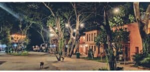 ต้นโพธิ์ รีสอร์ท (Tonpho Resort Banpong) 5