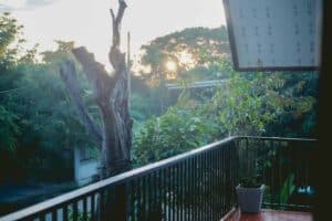 แอนิมาเลีย คาเฟ่ แอนด์ โฮมสเตย์ (Animalia cafe and Homestay) 3