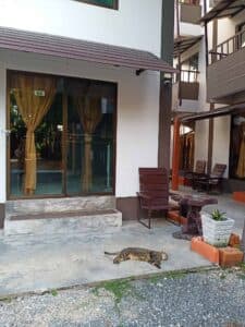 บันยันรีสอร์ท บางแสน (Banyan Resort Bangsaen) 6