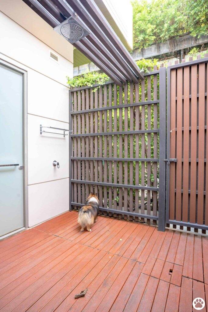 Avani+ Hua Hin สุนัขพักได้ กับ 16 ข้อดี Pet Friendly ดีที่สุดแห่งหนึ่งในไทย (รีสอร์ท 5 ดาว) 32 Avani+ Hua Hin สุนัขพักได้ กับ 16 ข้อดี Pet Friendly ดีที่สุดแห่งหนึ่งในไทย (รีสอร์ท 5 ดาว) 32