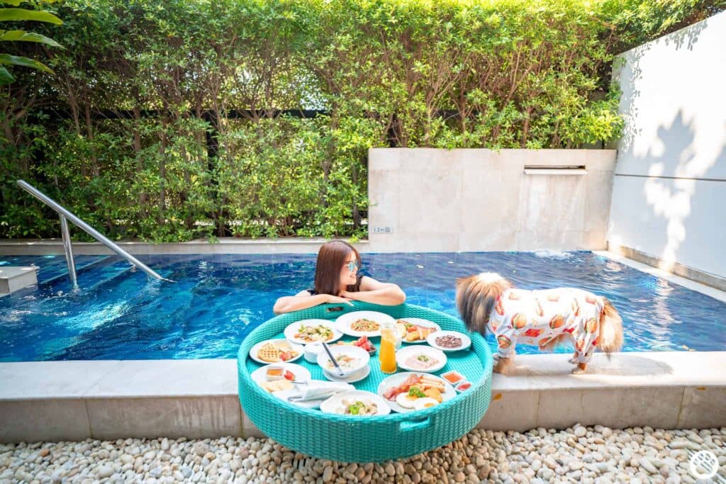 Avani+ Hua Hin สุนัขพักได้ กับ 16 ข้อดี Pet Friendly ดีที่สุดแห่งหนึ่งในไทย (รีสอร์ท 5 ดาว) 58 Avani+ Hua Hin สุนัขพักได้ กับ 16 ข้อดี Pet Friendly ดีที่สุดแห่งหนึ่งในไทย (รีสอร์ท 5 ดาว) 58