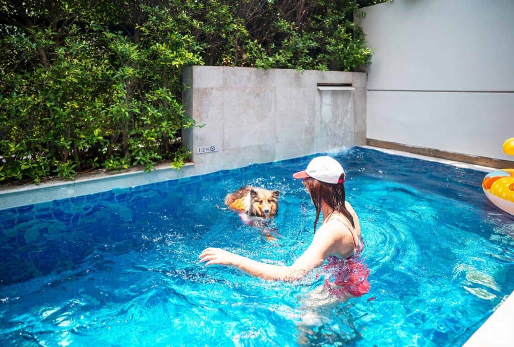 Avani+ Hua Hin สุนัขพักได้ กับ 16 ข้อดี Pet Friendly ดีที่สุดแห่งหนึ่งในไทย (รีสอร์ท 5 ดาว) 21 Avani+ Hua Hin สุนัขพักได้ กับ 16 ข้อดี Pet Friendly ดีที่สุดแห่งหนึ่งในไทย (รีสอร์ท 5 ดาว) 21