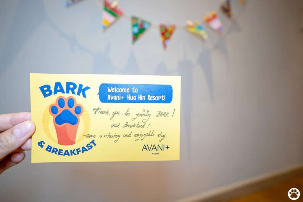 Avani+ Hua Hin สุนัขพักได้ กับ 16 ข้อดี Pet Friendly ดีที่สุดแห่งหนึ่งในไทย (รีสอร์ท 5 ดาว) 78 Avani+ Hua Hin สุนัขพักได้ กับ 16 ข้อดี Pet Friendly ดีที่สุดแห่งหนึ่งในไทย (รีสอร์ท 5 ดาว) 77