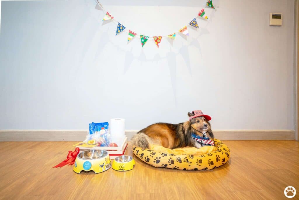 Avani+ Hua Hin สุนัขพักได้ กับ 16 ข้อดี Pet Friendly ดีที่สุดแห่งหนึ่งในไทย (รีสอร์ท 5 ดาว) 77 Avani+ Hua Hin สุนัขพักได้ กับ 16 ข้อดี Pet Friendly ดีที่สุดแห่งหนึ่งในไทย (รีสอร์ท 5 ดาว) 76
