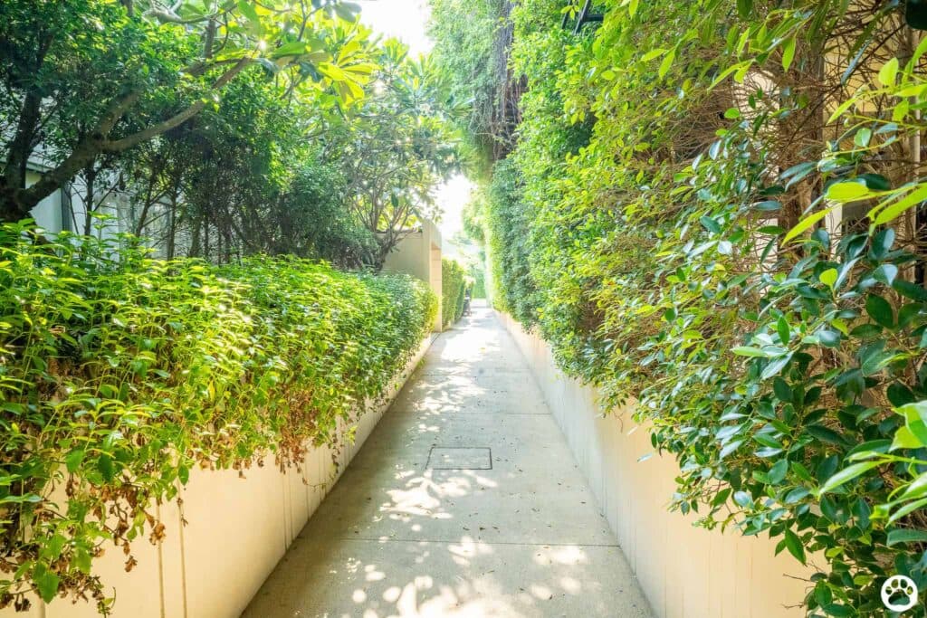 Avani+ Hua Hin สุนัขพักได้ กับ 16 ข้อดี Pet Friendly ดีที่สุดแห่งหนึ่งในไทย (รีสอร์ท 5 ดาว) 48 Avani+ Hua Hin สุนัขพักได้ กับ 16 ข้อดี Pet Friendly ดีที่สุดแห่งหนึ่งในไทย (รีสอร์ท 5 ดาว) 48
