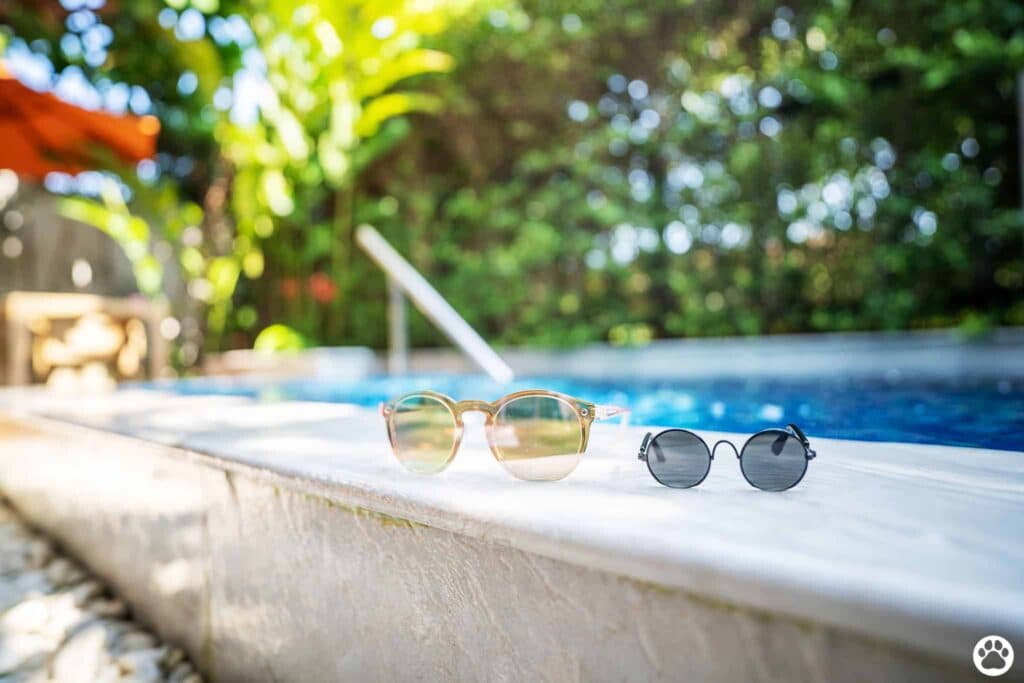 Avani+ Hua Hin สุนัขพักได้ กับ 16 ข้อดี Pet Friendly ดีที่สุดแห่งหนึ่งในไทย (รีสอร์ท 5 ดาว) 88 Avani+ Hua Hin สุนัขพักได้ กับ 16 ข้อดี Pet Friendly ดีที่สุดแห่งหนึ่งในไทย (รีสอร์ท 5 ดาว) 87