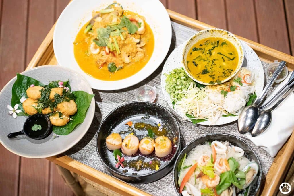 Avani+ Hua Hin สุนัขพักได้ กับ 16 ข้อดี Pet Friendly ดีที่สุดแห่งหนึ่งในไทย (รีสอร์ท 5 ดาว) 71 Avani+ Hua Hin สุนัขพักได้ กับ 16 ข้อดี Pet Friendly ดีที่สุดแห่งหนึ่งในไทย (รีสอร์ท 5 ดาว) 71