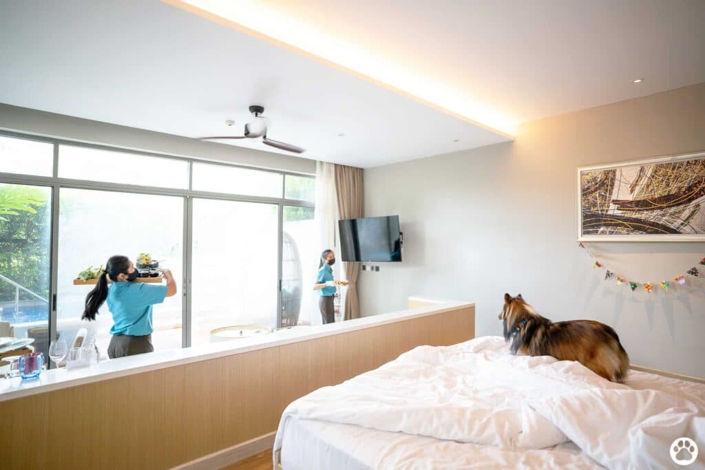 18 ไอเดีย Pet-First Design เมื่อเขาเป็นคนในครอบครัวมากกว่าสัตว์เลี้ยง การออกแบบจึงไม่หยุดแค่ Pet-Friendly 18 18 ไอเดีย Pet-First Design เมื่อเขาเป็นคนในครอบครัวมากกว่าสัตว์เลี้ยง การออกแบบจึงไม่หยุดแค่ Pet-Friendly 18