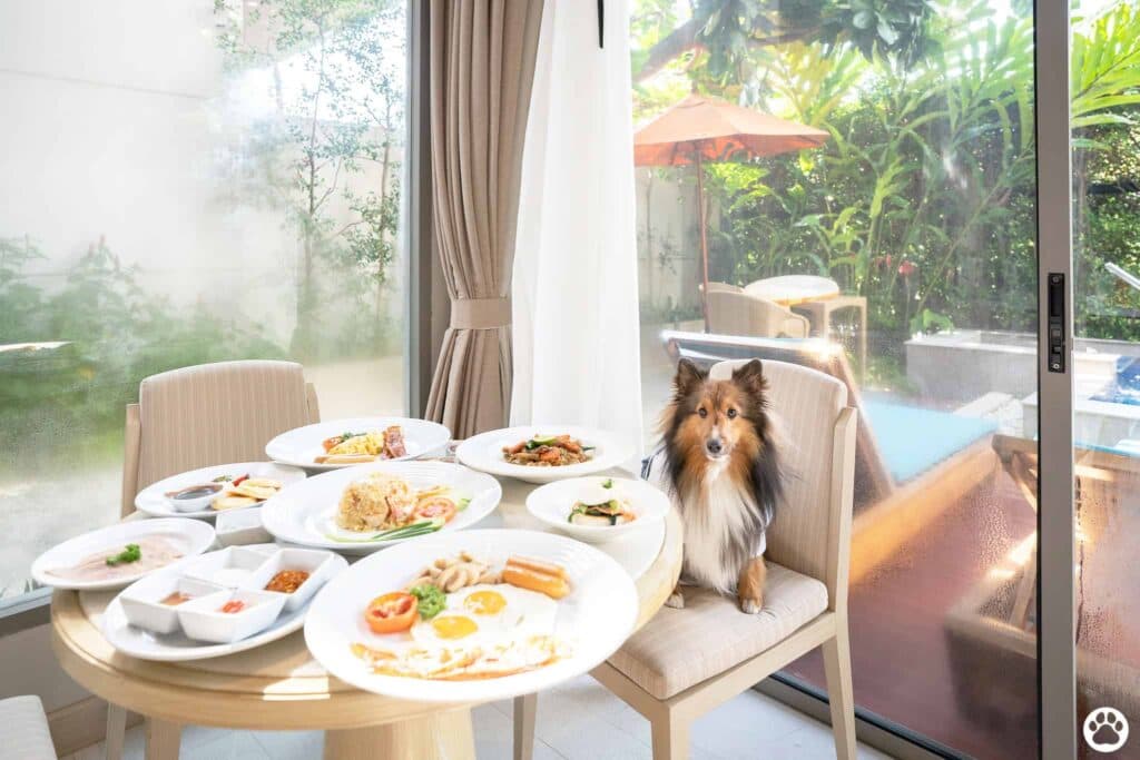 Avani+ Hua Hin สุนัขพักได้ กับ 16 ข้อดี Pet Friendly ดีที่สุดแห่งหนึ่งในไทย (รีสอร์ท 5 ดาว) 61 Avani+ Hua Hin สุนัขพักได้ กับ 16 ข้อดี Pet Friendly ดีที่สุดแห่งหนึ่งในไทย (รีสอร์ท 5 ดาว) 61