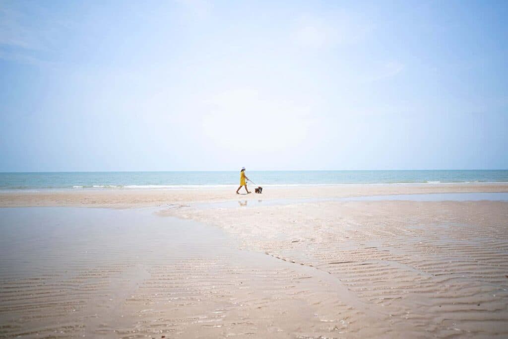Avani+ Hua Hin สุนัขพักได้ กับ 16 ข้อดี Pet Friendly ดีที่สุดแห่งหนึ่งในไทย (รีสอร์ท 5 ดาว) 50 Avani+ Hua Hin สุนัขพักได้ กับ 16 ข้อดี Pet Friendly ดีที่สุดแห่งหนึ่งในไทย (รีสอร์ท 5 ดาว) 50