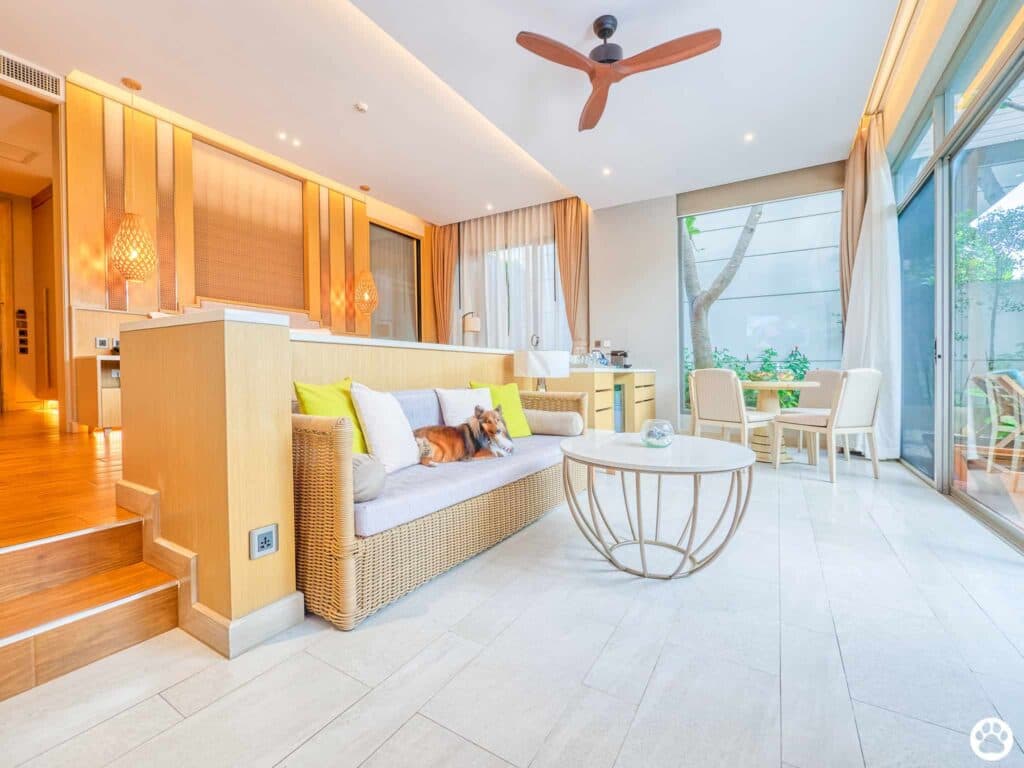 Avani+ Hua Hin สุนัขพักได้ กับ 16 ข้อดี Pet Friendly ดีที่สุดแห่งหนึ่งในไทย (รีสอร์ท 5 ดาว) 9 Avani+ Hua Hin สุนัขพักได้ กับ 16 ข้อดี Pet Friendly ดีที่สุดแห่งหนึ่งในไทย (รีสอร์ท 5 ดาว) 9