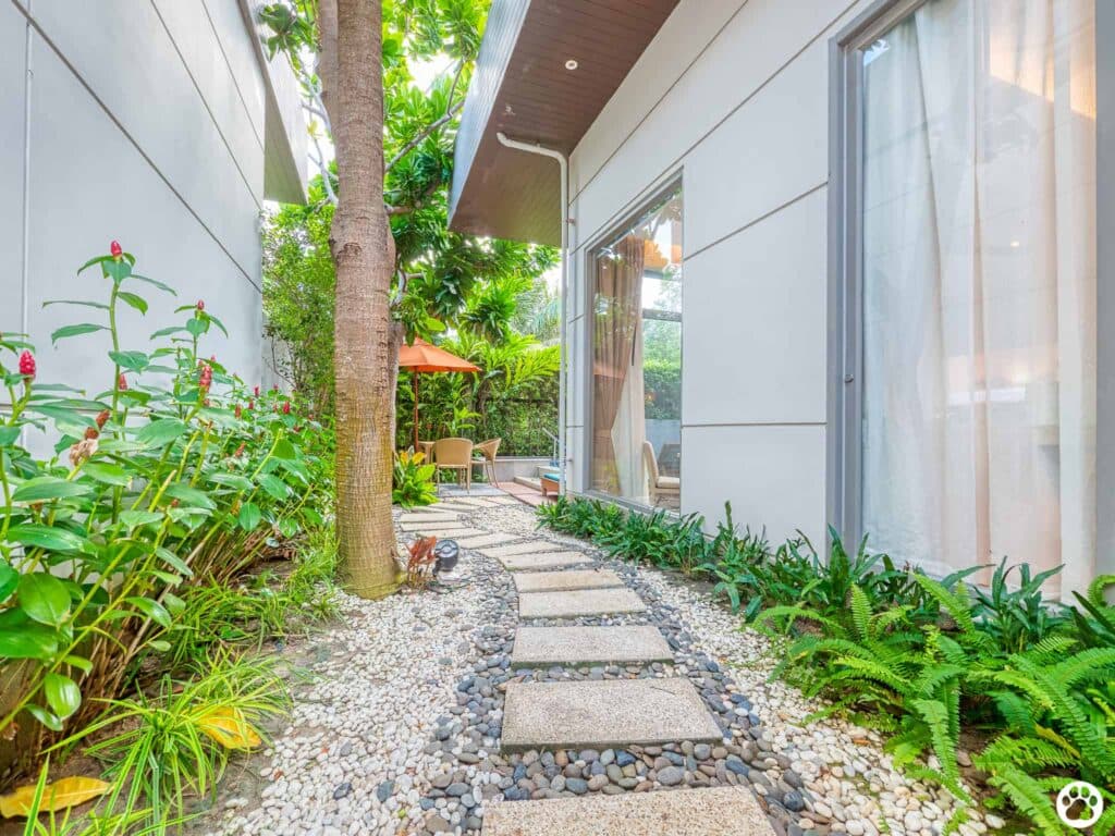 Avani+ Hua Hin สุนัขพักได้ กับ 16 ข้อดี Pet Friendly ดีที่สุดแห่งหนึ่งในไทย (รีสอร์ท 5 ดาว) 29 Avani+ Hua Hin สุนัขพักได้ กับ 16 ข้อดี Pet Friendly ดีที่สุดแห่งหนึ่งในไทย (รีสอร์ท 5 ดาว) 29